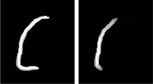 circular_or_linear