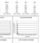 large-sheet-in-speck-tor-a4-dirt-lsi-a4-dirt.1_l